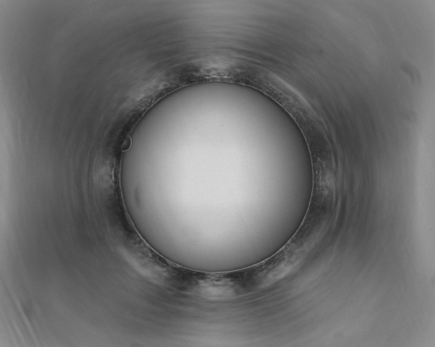 X0000110740603200906151105