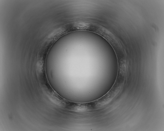 X0000110740604200906151105