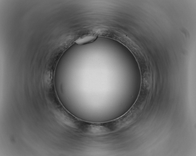 X0000110740605200906151105