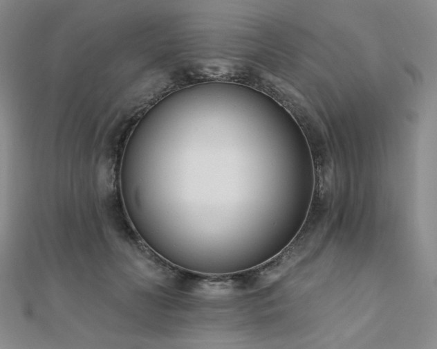 X0000110740606200906151105