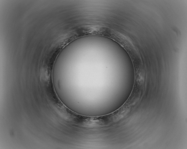 X0000110740607200906151105