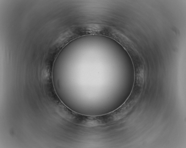 X0000110740608200906151105