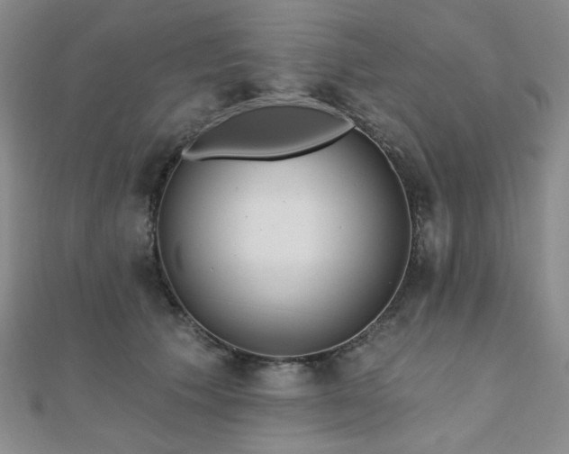 X0000110740609200906151105