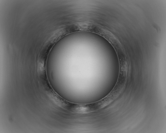 X0000110740610200906151105