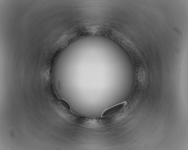 X0000110740611200906151105