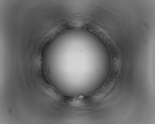 X0000110740612200906151105