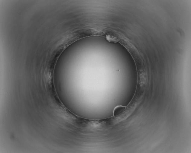 X0000110740613200906151105