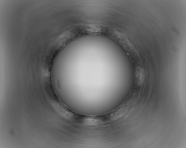 X0000110740614200906151105