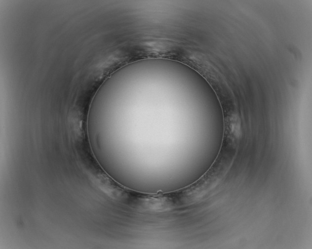 X0000110740615200906151105