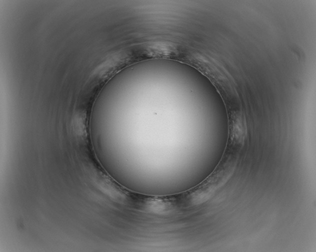 X0000110740616200906151105