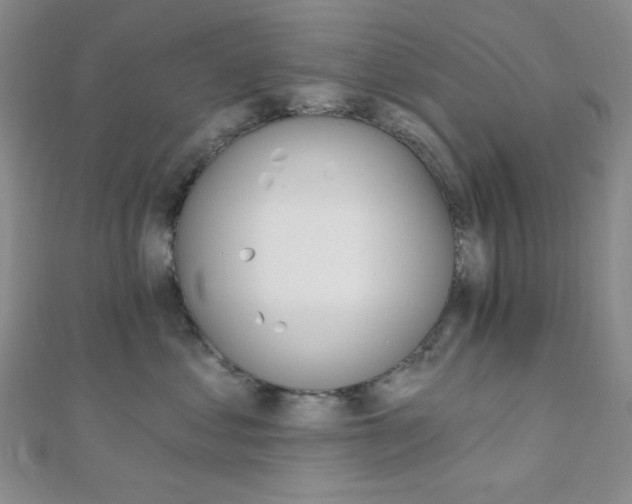 X0000110740621200906151105