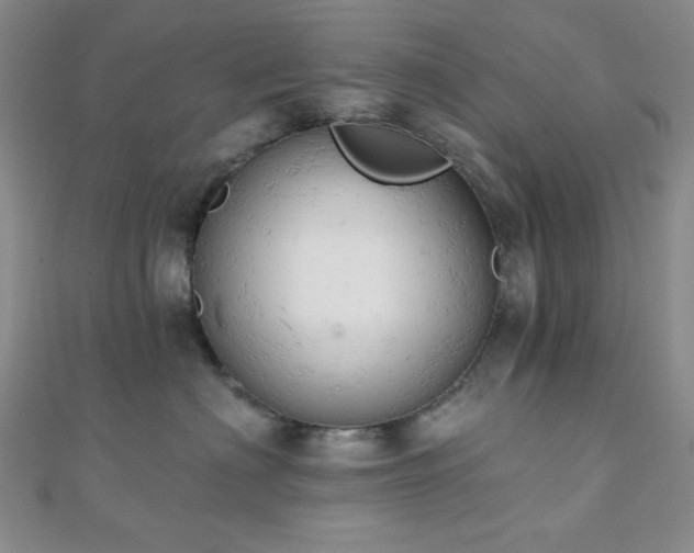 X0000110740622200906151105