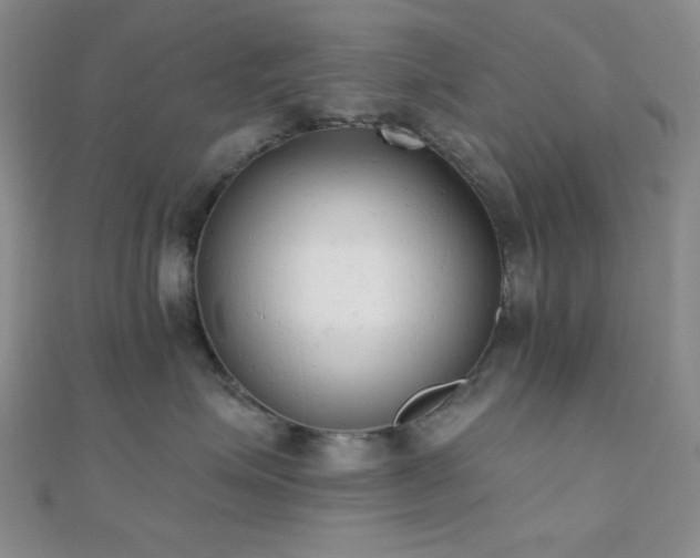 X0000110740623200906151105