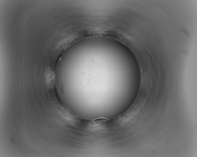 X0000110740624200906151105