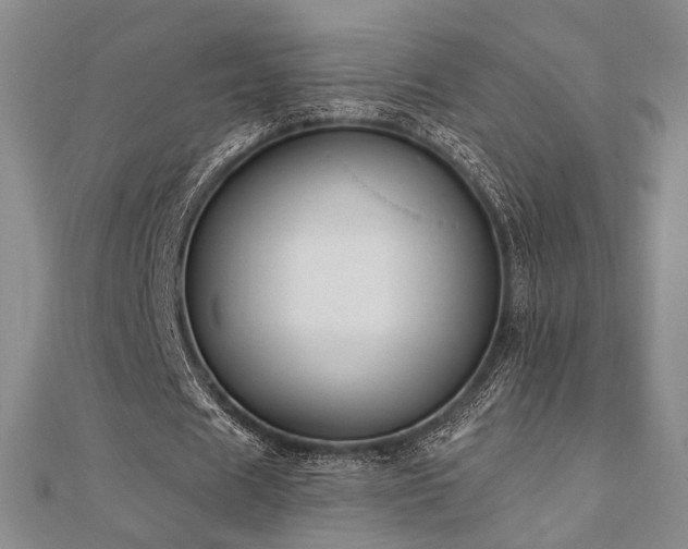 X0000110740625200906151104