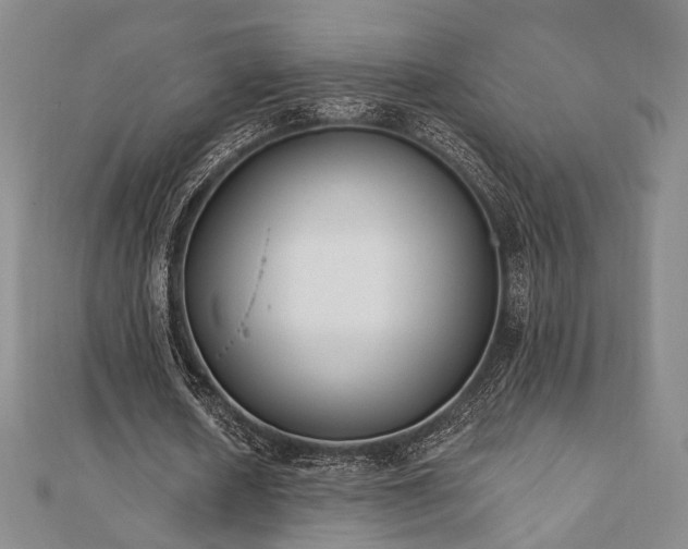 X0000110740626200906151104