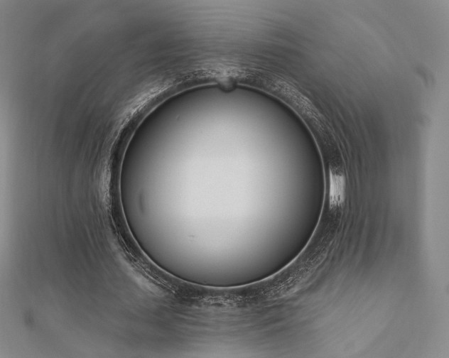 X0000110740627200906151104