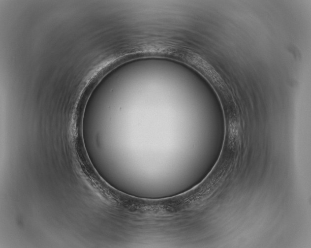 X0000110740628200906151104