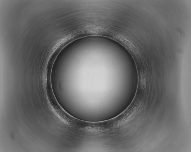 X0000110740630200906151104