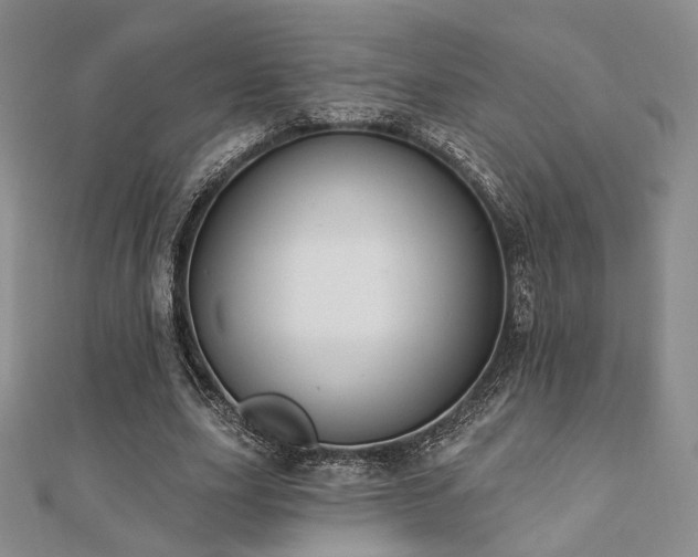 X0000110740631200906151104