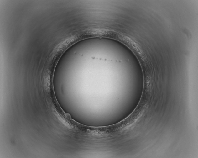 X0000110740633200906151104