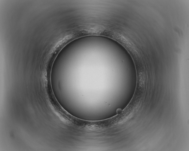 X0000110740634200906151104