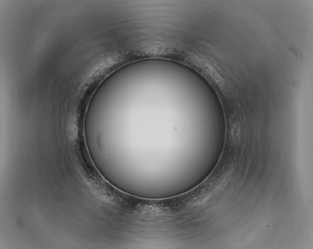 X0000110740635200906151104