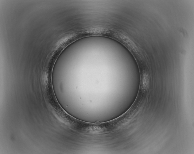 X0000110740636200906151104