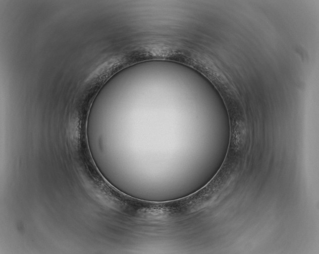 X0000110740639200906151104