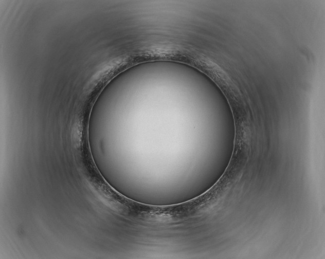 X0000110740640200906151104