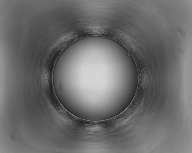 X0000110740643200906151104