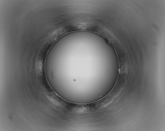 X0000110740646200906151104