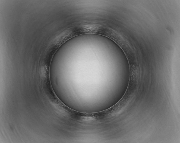 X0000110740649200906151104