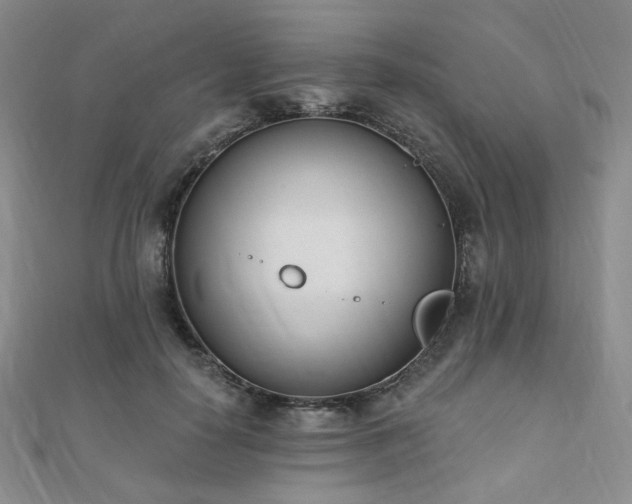 X0000110740650200906151104