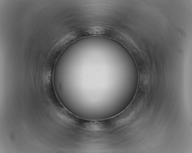 X0000110740652200906151104