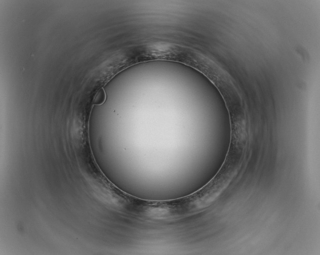 X0000110740653200906151104