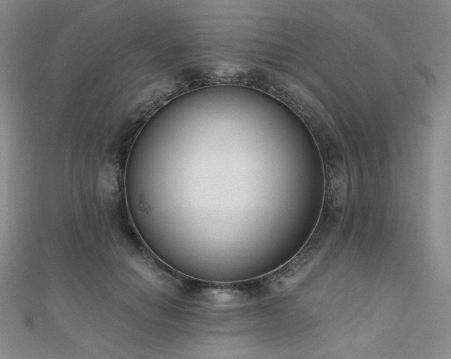 X0000110740654200906151104