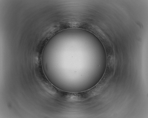 X0000110740655200906151104