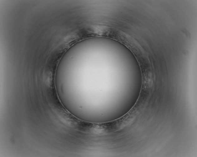 X0000110740656200906151104