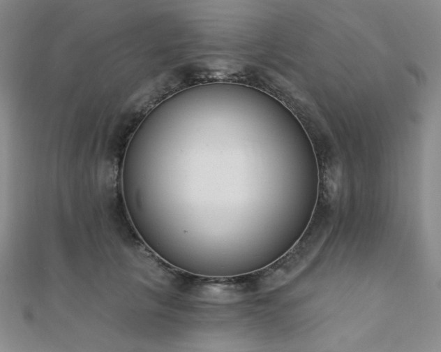 X0000110740657200906151104