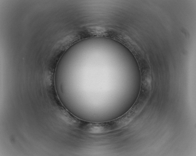 X0000110740658200906151104