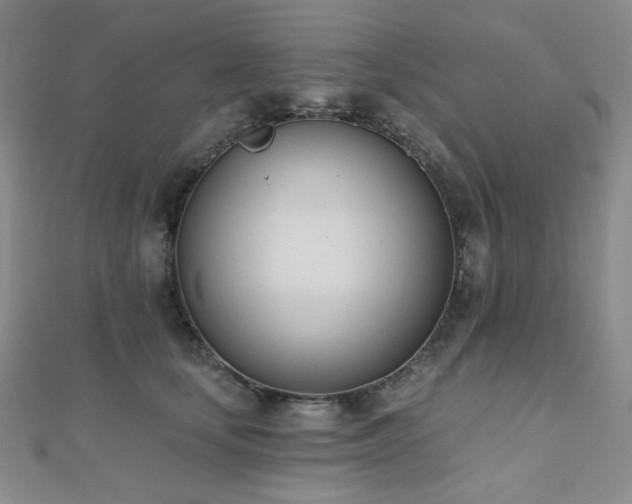 X0000110740659200906151104
