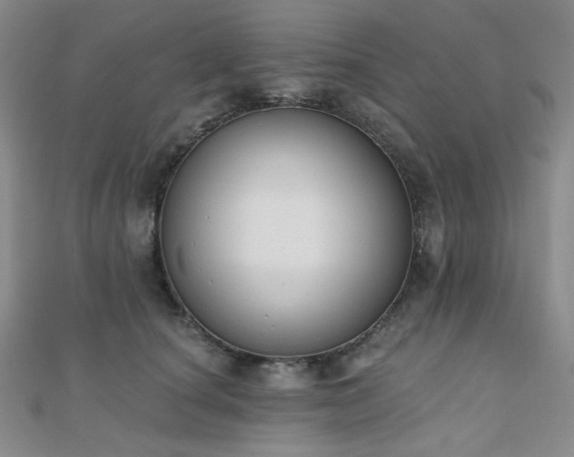 X0000110740660200906151104