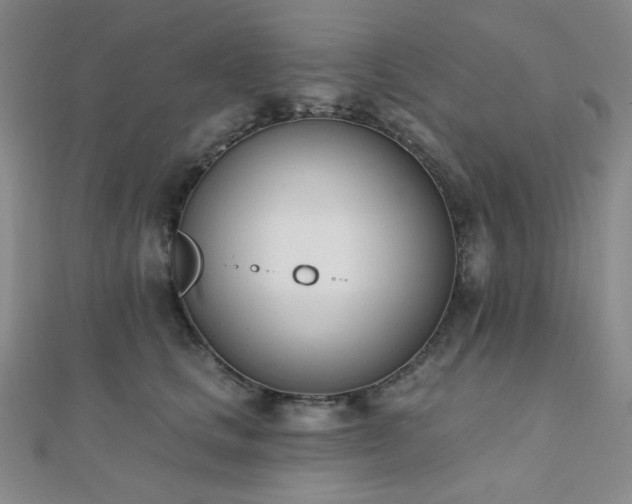 X0000110740661200906151104
