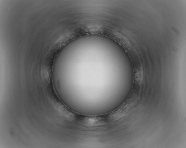 X0000110740662200906151104
