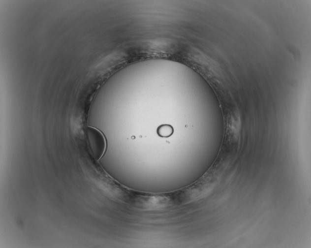 X0000110740663200906151104