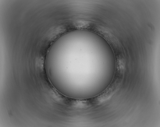 X0000110740664200906151104