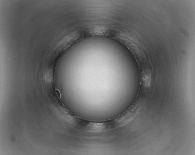 X0000110740665200906151104