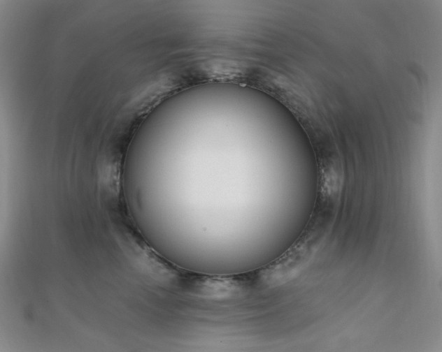 X0000110740666200906151104