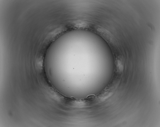 X0000110740668200906151104